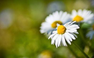 Nannini: c'è aria di primavera!