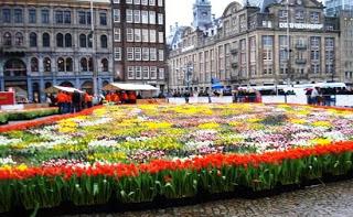 AMSTERDAM ... CANALI ... MUSEI ... STORIA & FORMAGGIO ...