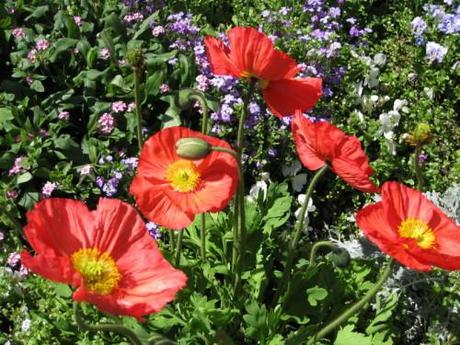 Primavera nel sud ovest della Francia