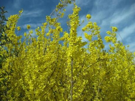 Primavera nel sud ovest della Francia