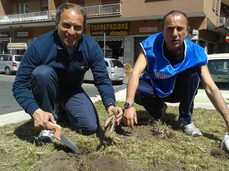 Le bellissime immagini dell'ultimo Decoro Day nel XVIII Municipio. Si è svolto sabato scorso. Perché gli altri Municipi non copiano porcoggiuda?