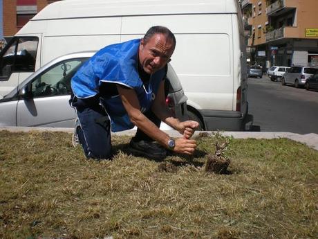 Le bellissime immagini dell'ultimo Decoro Day nel XVIII Municipio. Si è svolto sabato scorso. Perché gli altri Municipi non copiano porcoggiuda?