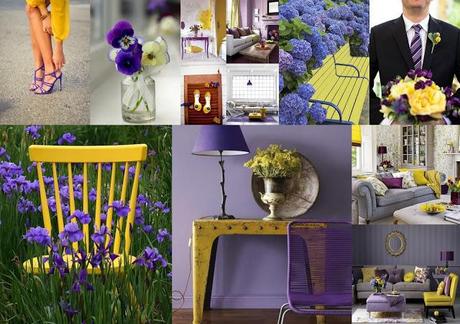 Colors inspiration: yellow and purple