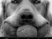 partenze, pelos pelotas