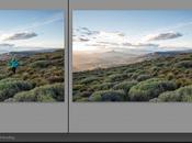 versione beta Lightroom online