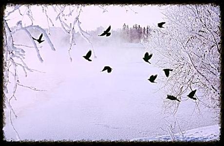 che-jo:

Fine http://wp.me/s3cU0d-fine
View Post