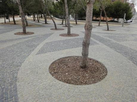 In un qualsivoglia parco di Madrid