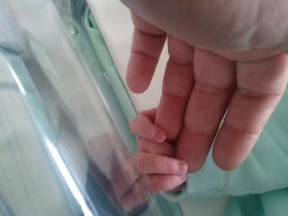 Foto della mano di una neonata che si aggrappa a quella del papà