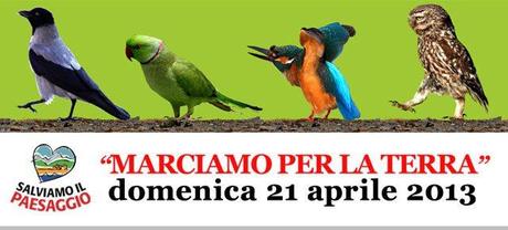 20130328_marciaperlaterra