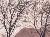 Visione Cieco [Milano]