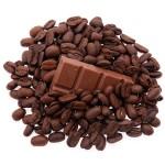 Cacao contro Alzheimer e Parkinson: previene la degenerazione dei neuroni