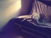 L’unica pista ciclabile posted Marco Inguscio