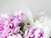 tempo peonie