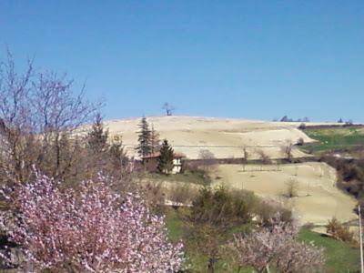 TURN AROUND..... LANGHE!