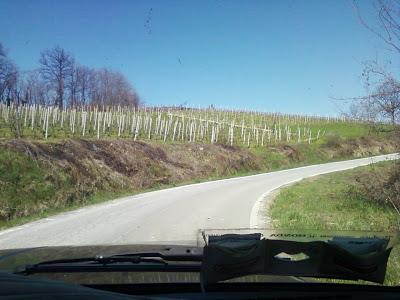 TURN AROUND..... LANGHE!