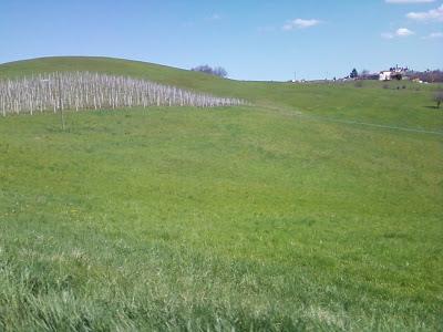 TURN AROUND..... LANGHE!