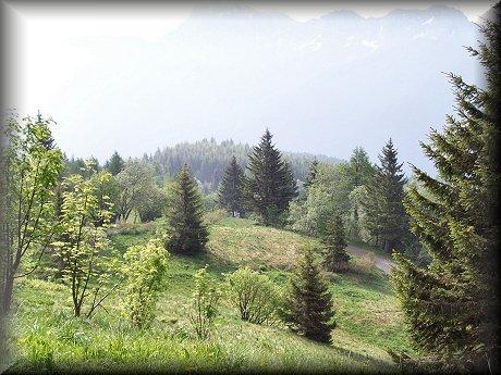 MONTE TENCHIA CARNIA