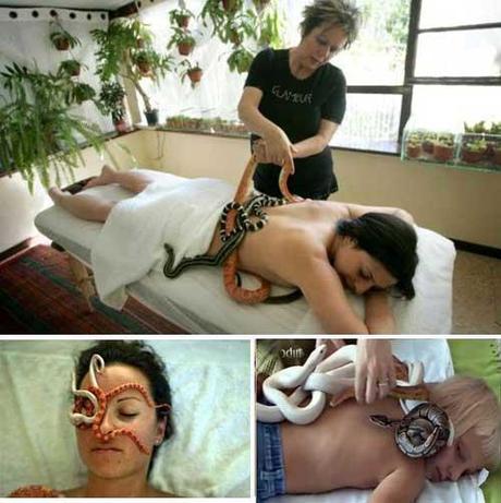 Massaggiati dai serpenti: Snake therapy