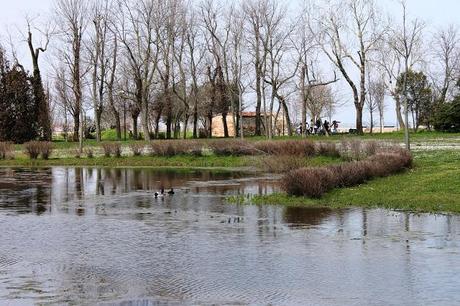 VENEZIA / SANT'ERASMO