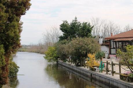 VENEZIA / SANT'ERASMO