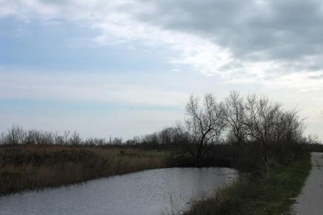 VENEZIA / SANT'ERASMO