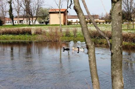 VENEZIA / SANT'ERASMO