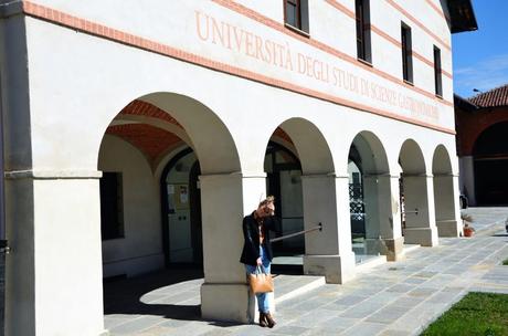 l'università