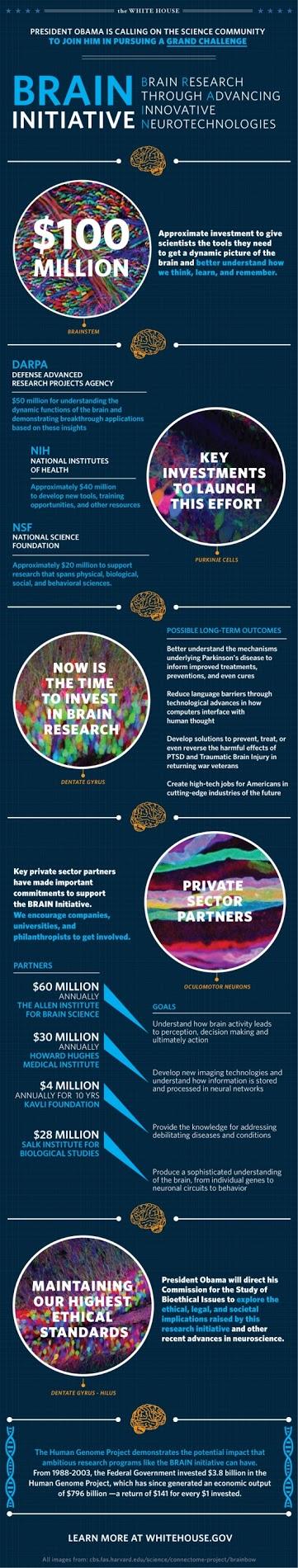 BRAIN: il finanziamento della ricerca sul cervello voluto da Obama. Un'infografica