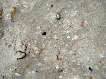 La Scozia di Lucia: le tinte sgargianti di Reef beach