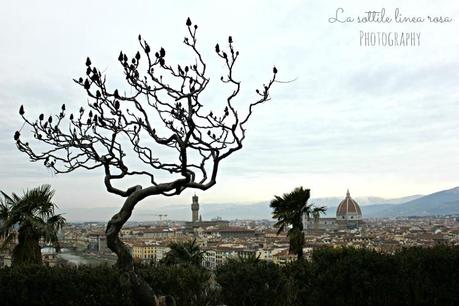 Firenze