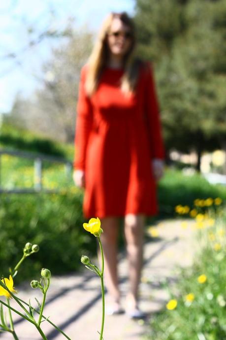 Spring, flowers and bubbles