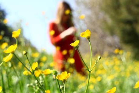 Spring, flowers and bubbles