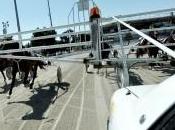 Ippica: l’ippodromo Vinovo verso grandi appuntamenti, domenica Costa Azzurra