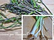 Voglia Primavera, sole, campagna erbe campo