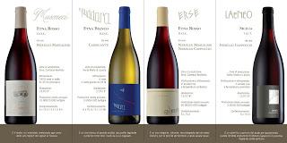 Il successo della VI edizione della manifestazione 