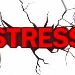 Stress. Vita sana, malattie, traumi, ormoni e lavoro: i 5 miti da sfatare