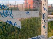 Siate sinceri. belle nuove pensiline Atac piacciono pulite piene scarabocchi