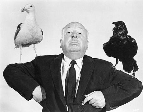 Gli Uccelli di Hitchcock