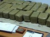 Bliz della guardia Finanza Brescia, sequestrate oltre tonnellate Marijuana