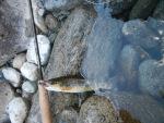 Weekend Lungo di pesca in Val Sesia