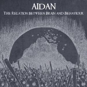 “The Relation between Brain and Behaviour”, album dei padovani Aidan – recensione di Emanuele Bertola