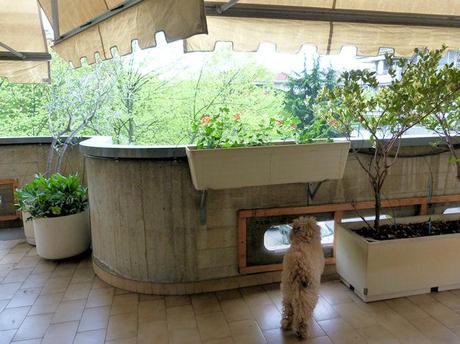 Un po' di giardinaggio in terrazza