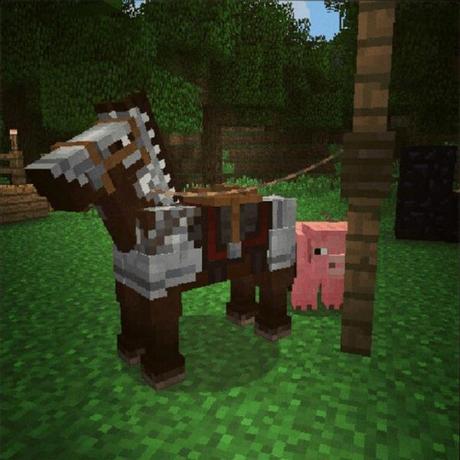 Minecraft-horse