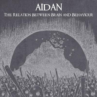 Aidan - The Relation between Brain and Behaviour