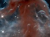 Nebulosa Testa Cavallo celebrare Compleanno Hubble