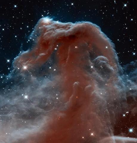 Nebulosa Testa di Cavallo Hubble