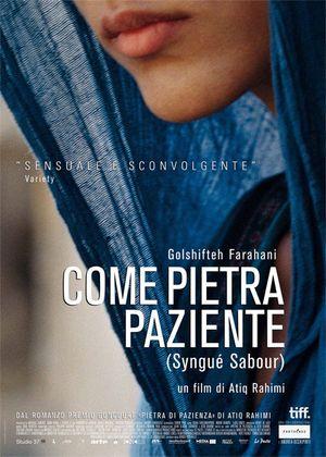 Come-pietra-paziente