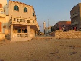 SULLE TRACCE DI MONTALBANO