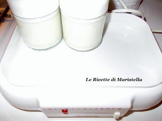 Il mio Yogurt veloce