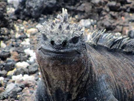 ECUADOR E GALAPAGOS 642